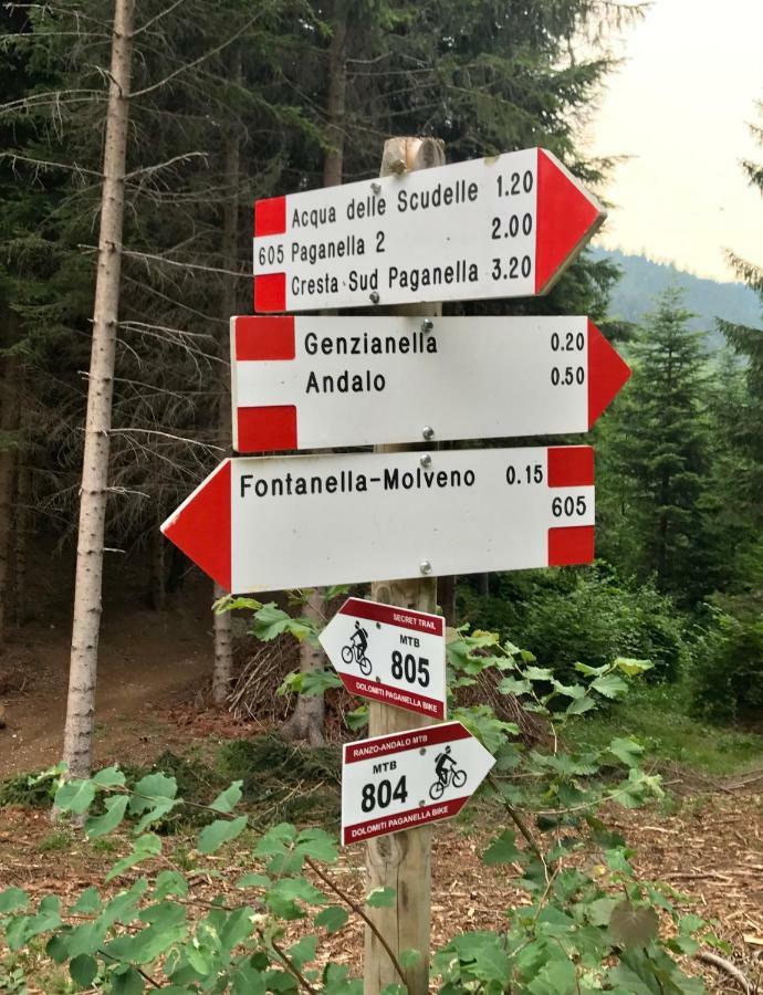 Genzianella Molveno-Andalo Apartment Bagian luar foto