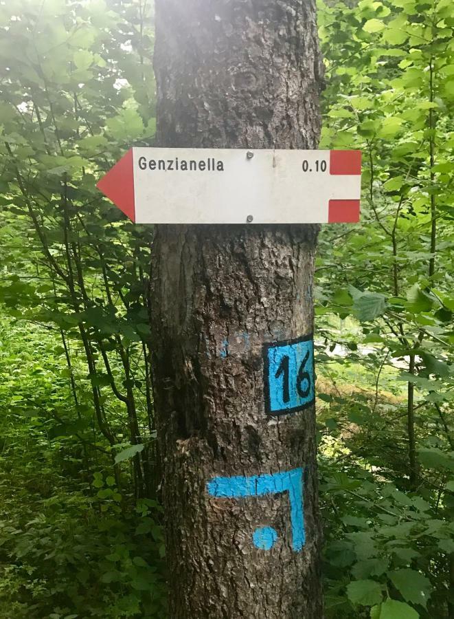 Genzianella Molveno-Andalo Apartment Bagian luar foto