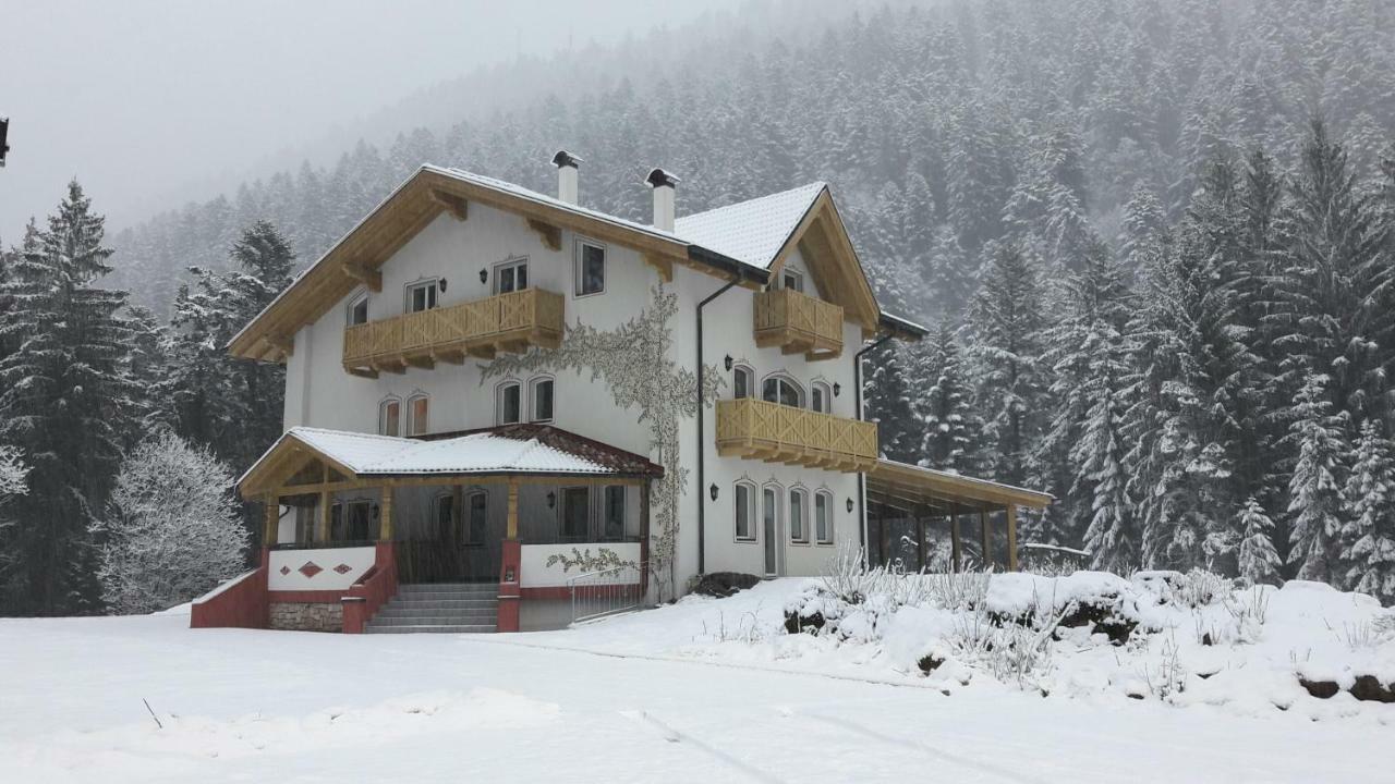 Genzianella Molveno-Andalo Apartment Bagian luar foto