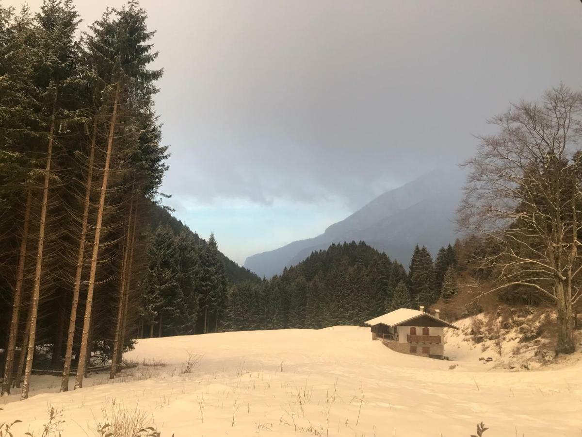 Genzianella Molveno-Andalo Apartment Bagian luar foto