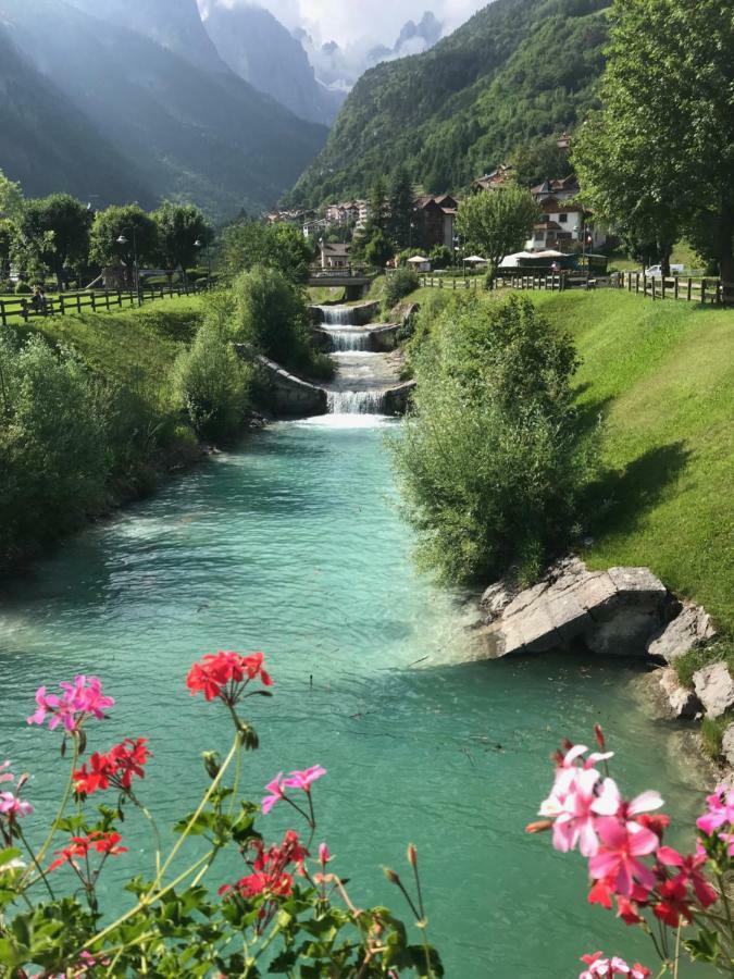 Genzianella Molveno-Andalo Apartment Bagian luar foto